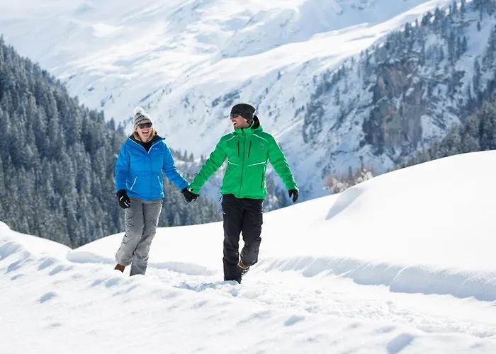 Zillertal Guest house 2*