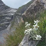 Casa de hóspedes Zillertal 2*